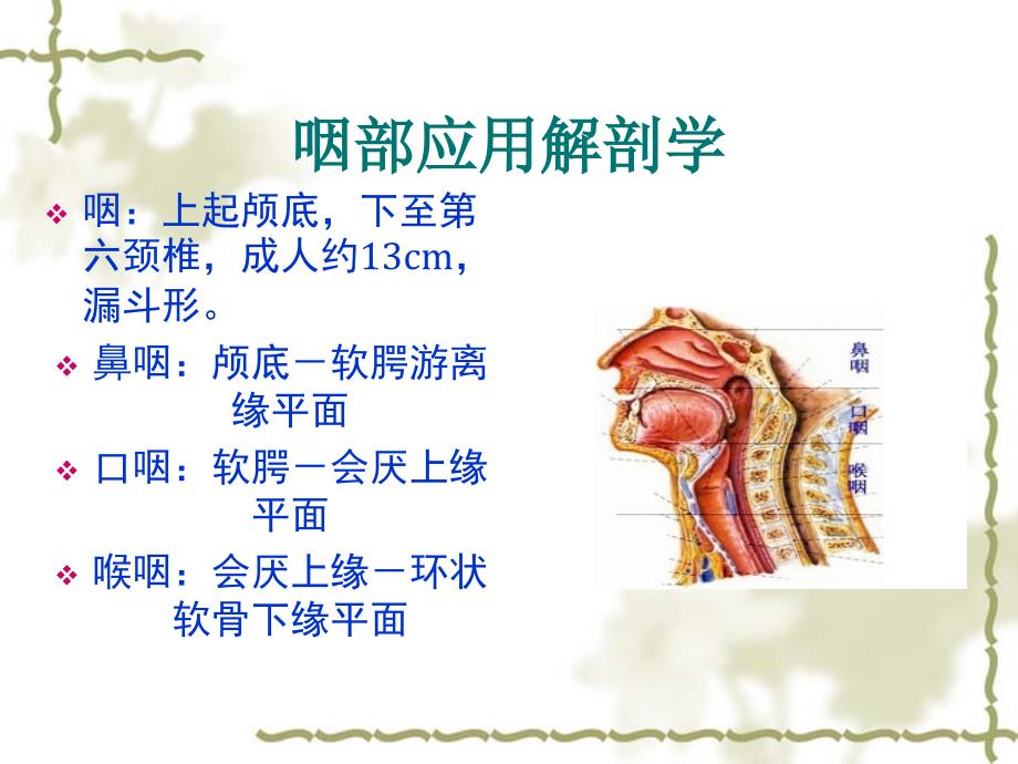 急性扁桃体炎图文课件_第2页