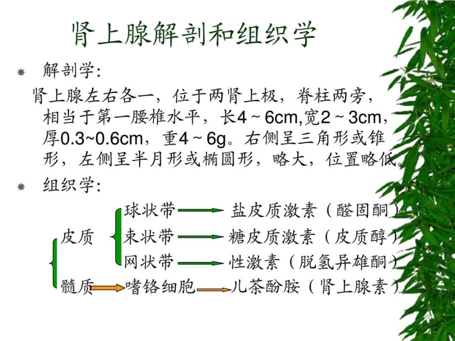 库欣综合征课件_9_第3页