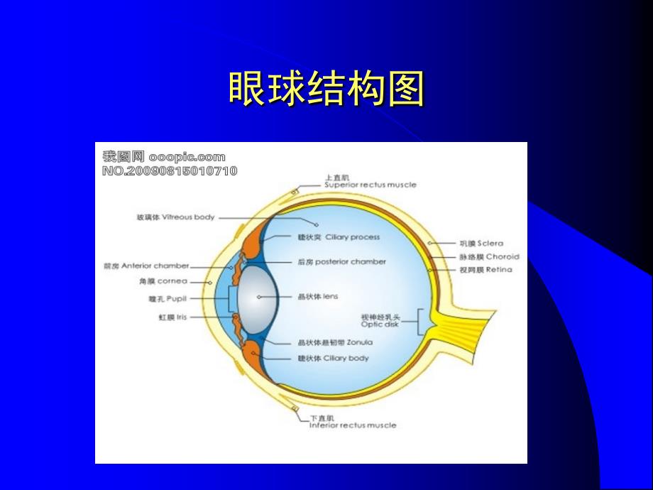 2012白内障ppt课件_第2页