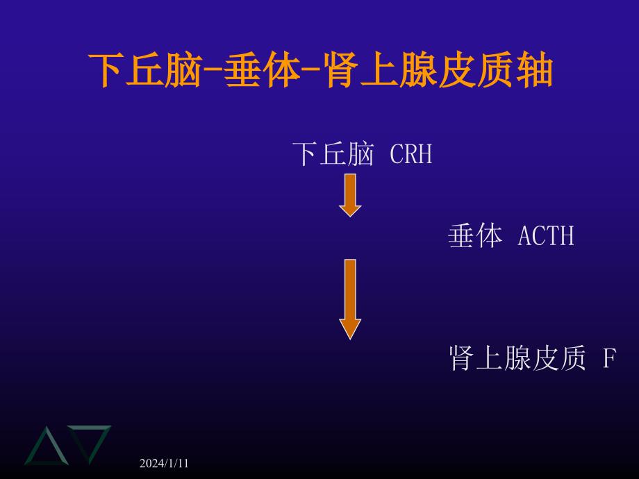 库欣综合征（秦利）课件_第3页