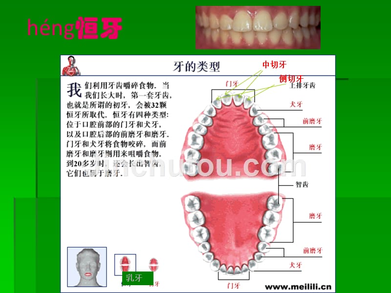 婴幼儿龋齿预防课件_第4页