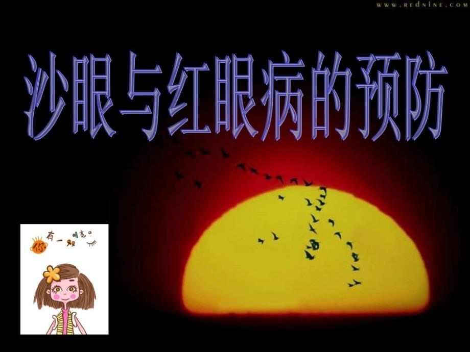 沙眼与红眼病的防备临床医学医药卫生专业资料优质文档课件_第3页