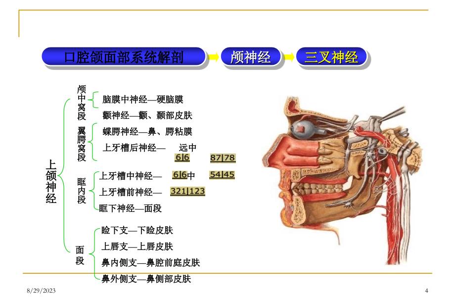 三叉神经痛面神经麻痹课件_第4页