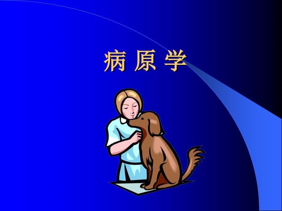 狂犬病知识讲座（ppt 55页）课件_第5页