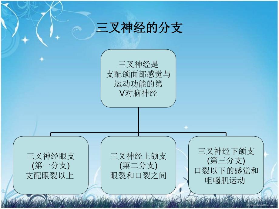 三叉神经痛患者的护理查房精要课件_第3页