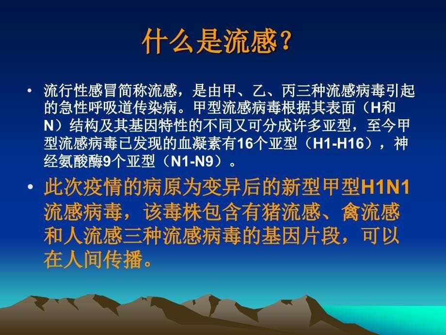 甲型h1n1流感防控知识培训ppt精品课件_第5页