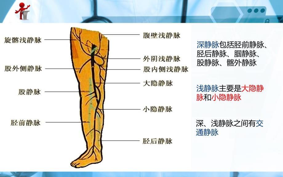 《外科护理》第十八章 第一节  原发性下肢静脉曲张病人的护理课件_第3页