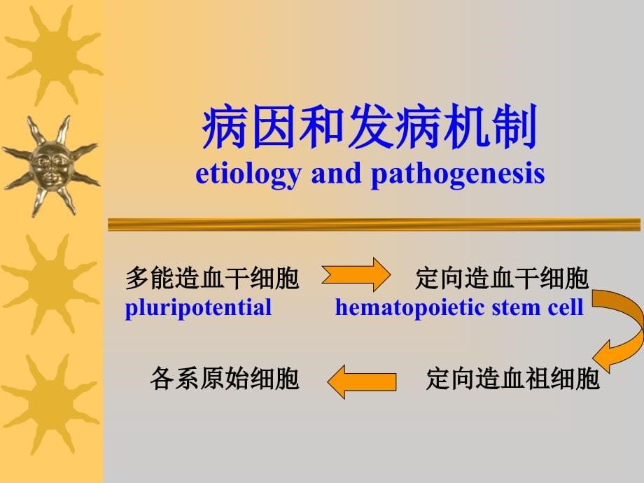 急性白血病课件_1_第5页