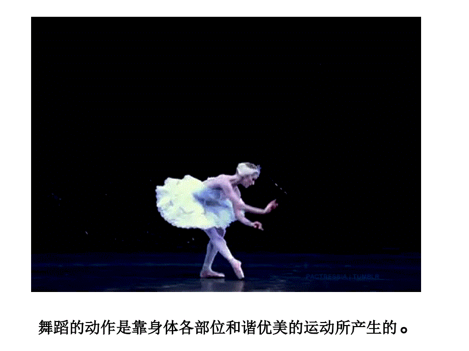 《快乐地舞蹈课件》小学美术湘美版二年级下册_第2页