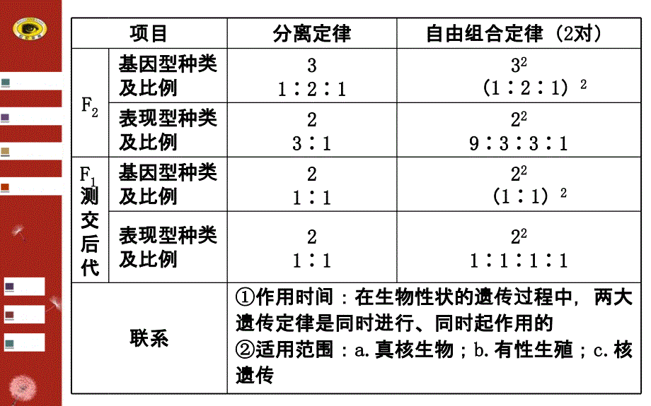 2014版广西生物高考专题二轮课件专题五第2讲细胞核遗传和细胞质遗传_第3页