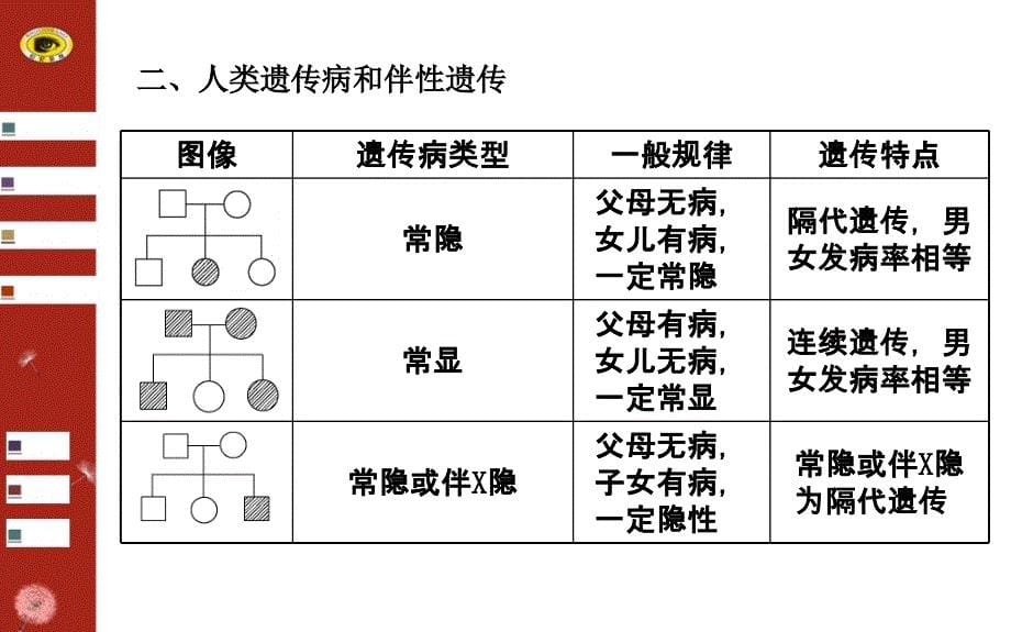 2014版广西生物高考专题二轮课件专题五第2讲细胞核遗传和细胞质遗传_第5页