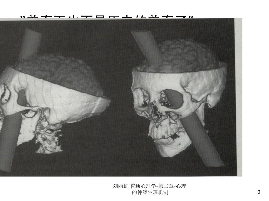 心理学 第二章心理的神经生理机制课件_第2页