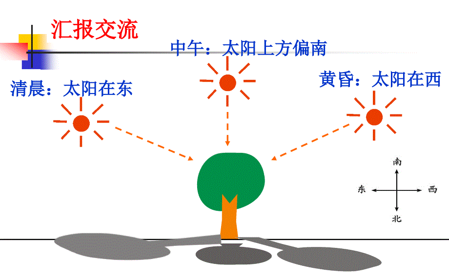 《阳光下的影子课件》小学科学教科版五年级上册_第4页