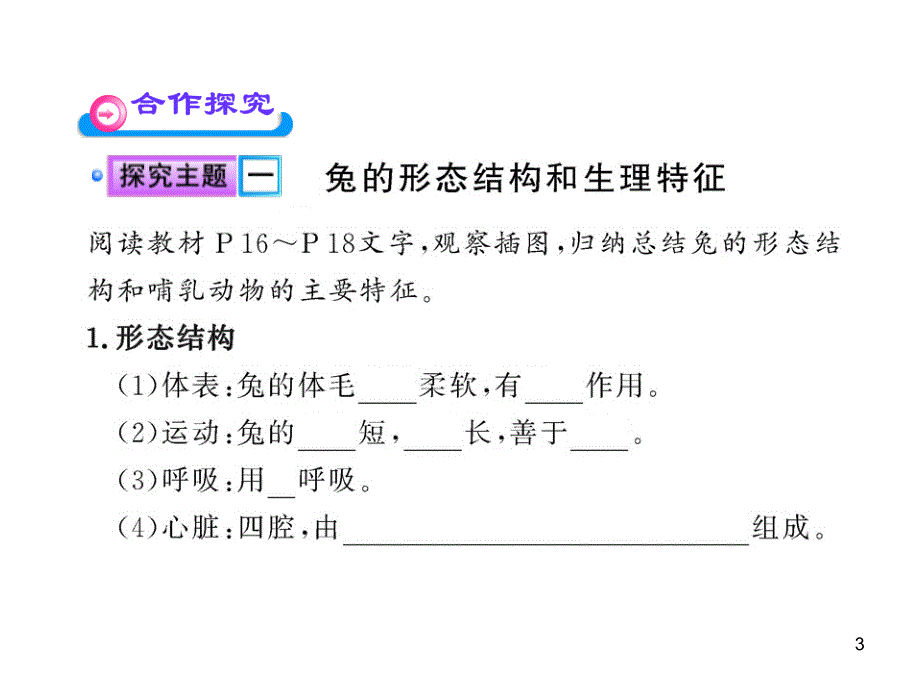 八年级生物上册第五单元 第一章 第二节 陆地生活的动物（二）课件 新人教版_第3页