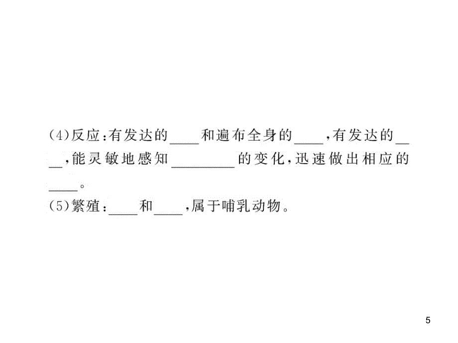 八年级生物上册第五单元 第一章 第二节 陆地生活的动物（二）课件 新人教版_第5页