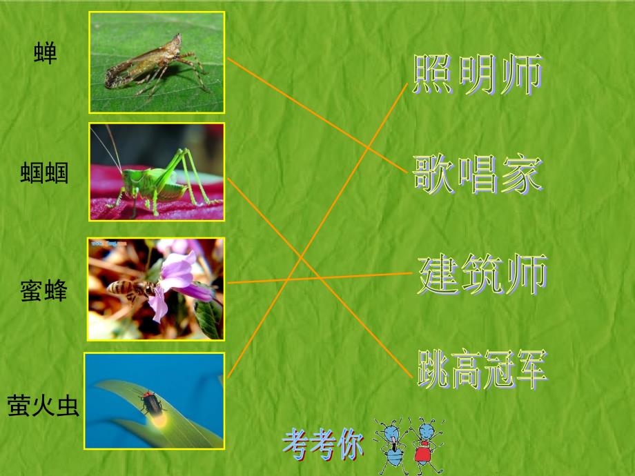 《虫虫虫（一）课件》小学美术苏少版二年级下册_41_第3页