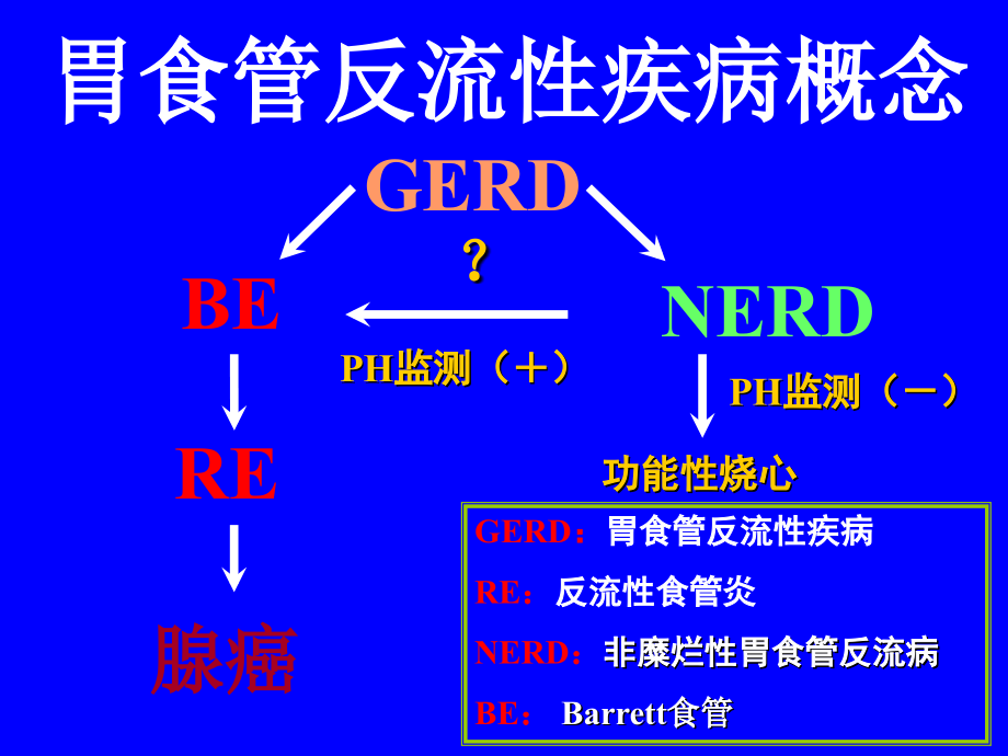 反流性食管炎金哲浩课件_第3页