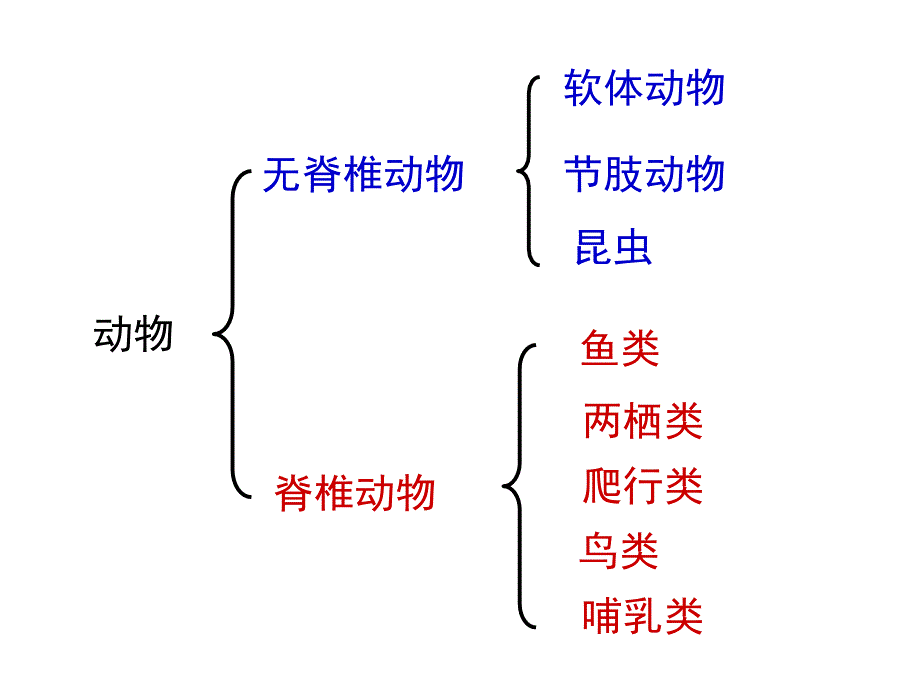 一线美术教师亲自制作课件苏少版二年级第四册《动物朋友》动物及简画法_4_第2页