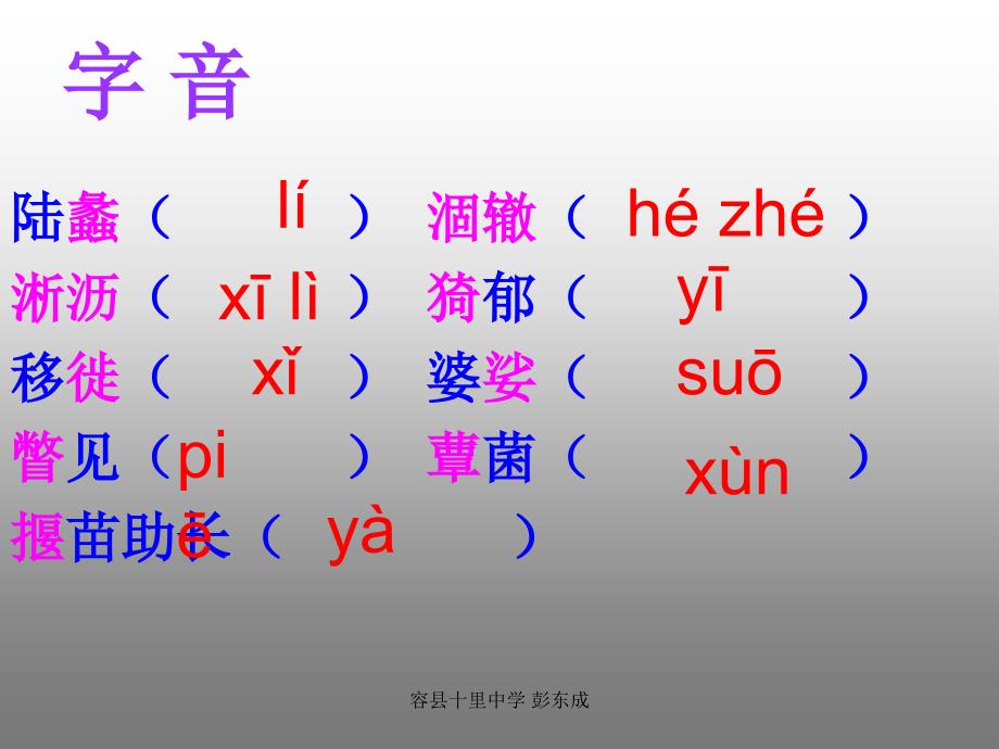 中考语文y广西玉林市容县十里中学九年级语文《囚绿记》课件_第4页