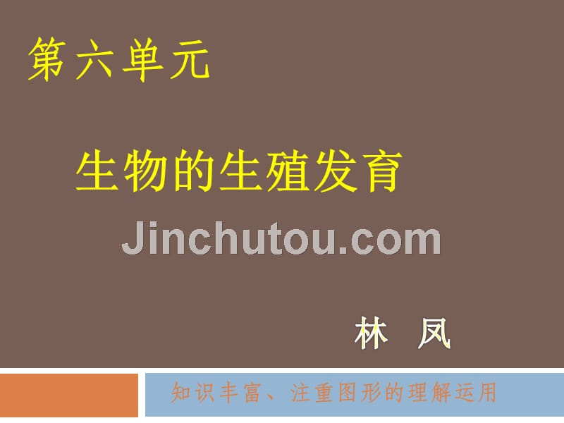 北师大版八年生物第6单元生命的延续复习总结_第1页