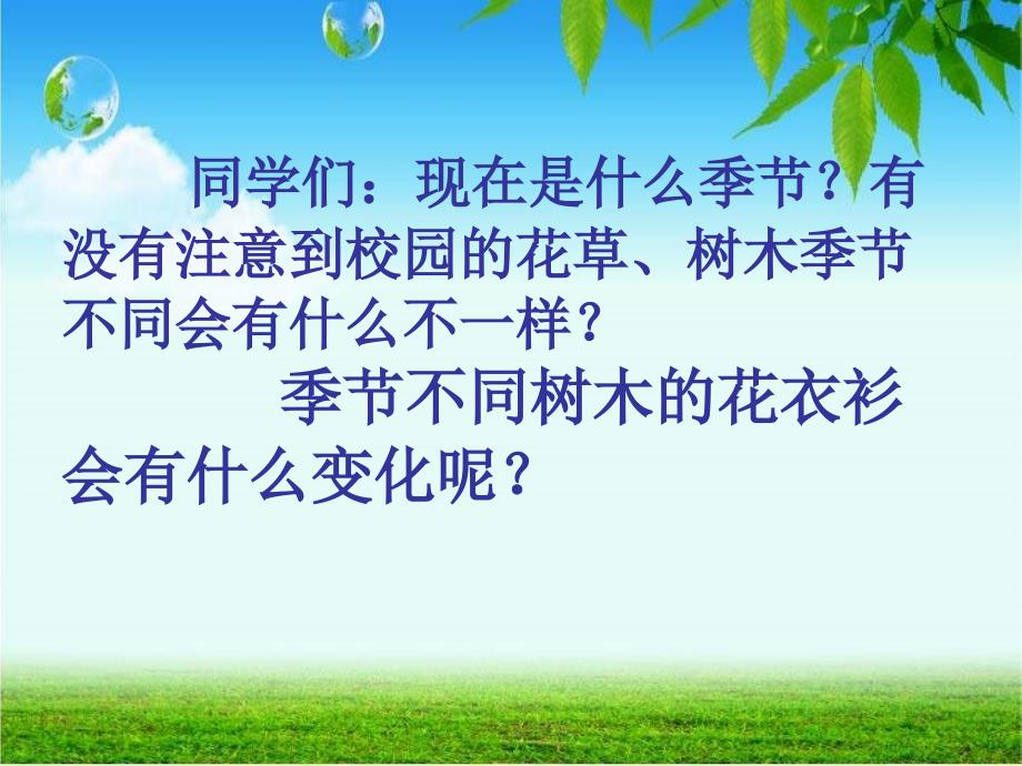 人教版美术二年级下册叶子上的小血管课件_第2页