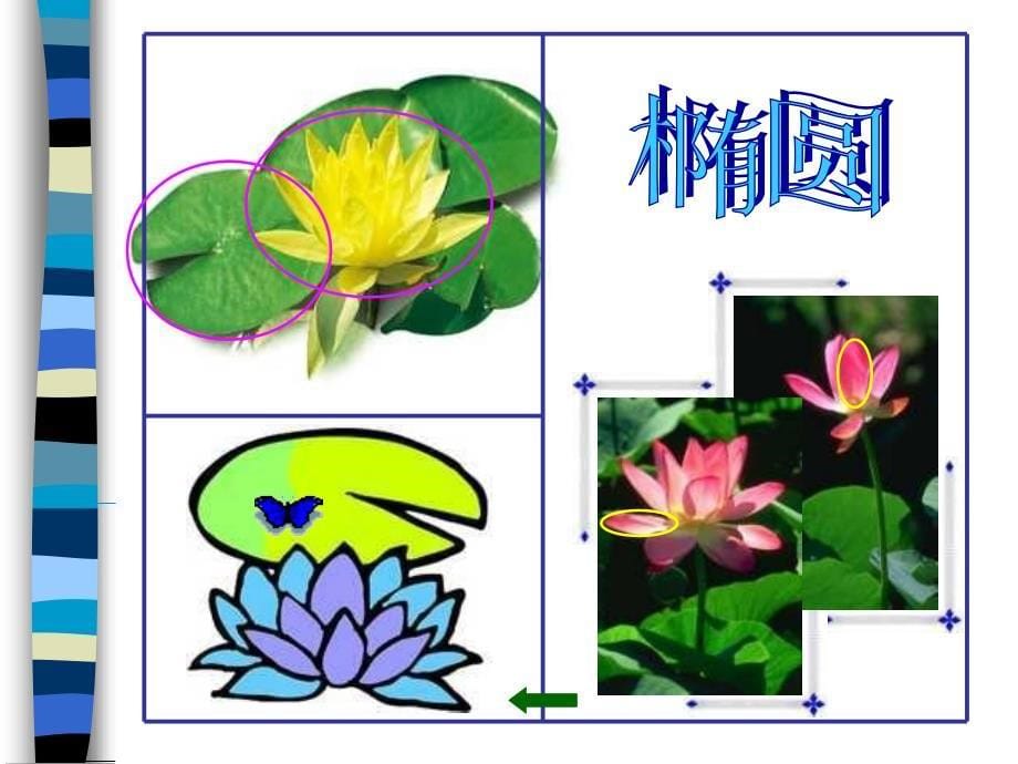 《茂密的花课件》小学美术人美版二年级下册_5_第5页