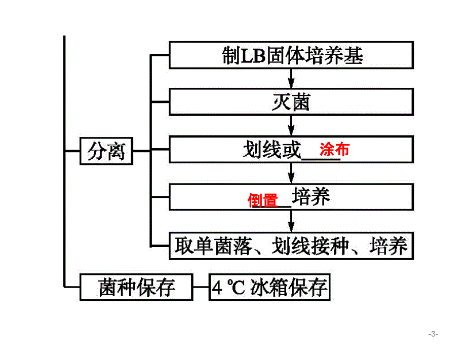 微生物的利用酶的应用复习ppt课件_第3页