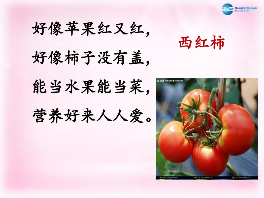 2014秋二年级语文上册《蔬菜营养丰富》课件2北京版_第3页