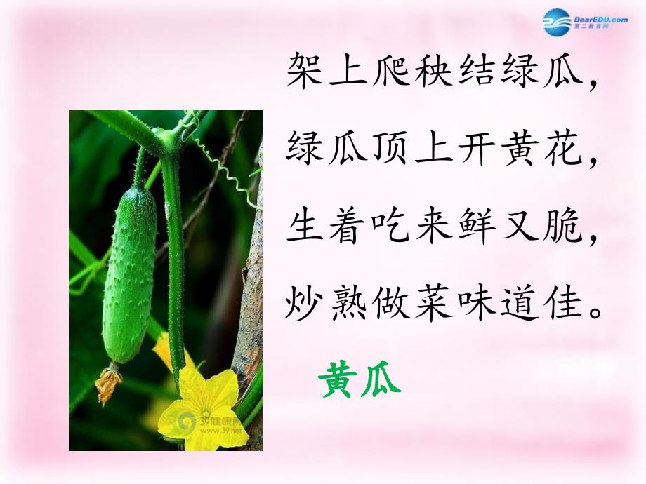 2014秋二年级语文上册《蔬菜营养丰富》课件2北京版_第4页