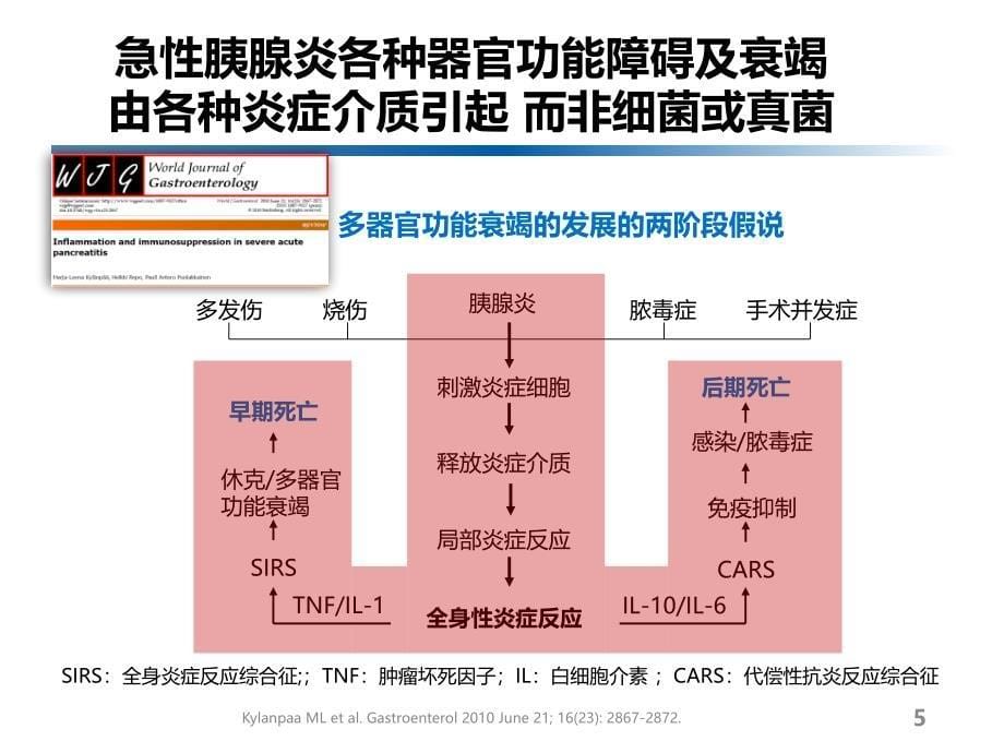 2013急性胰腺炎临床实践指南课件_第5页