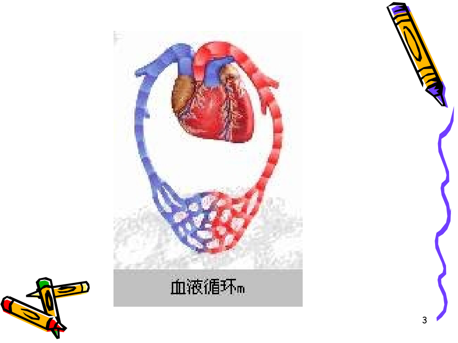 基础医学第二十一章 抗心绞痛药 （new）课件_1_第3页