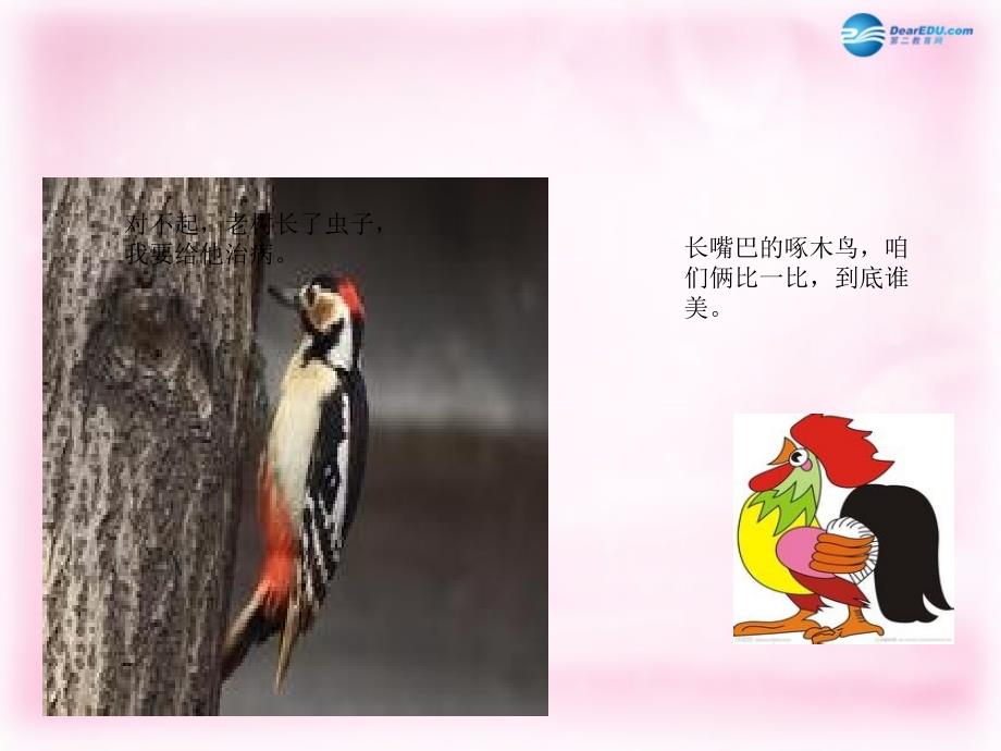 2014秋二年级语文上册《美丽的公鸡》课件3北京版_第4页