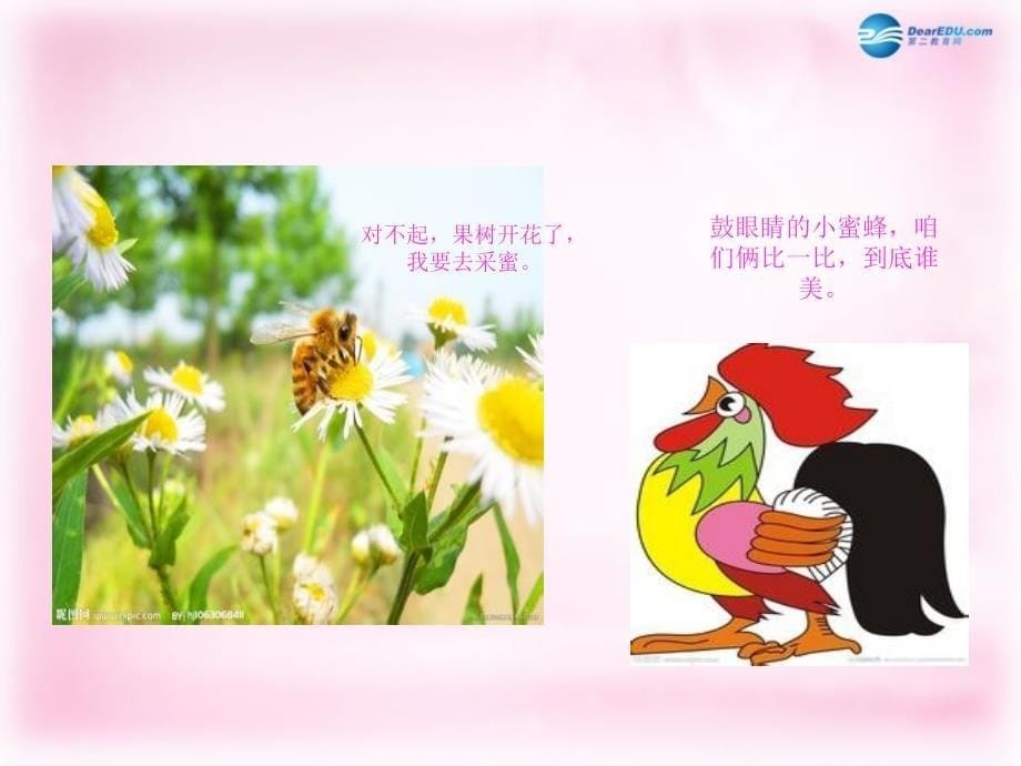 2014秋二年级语文上册《美丽的公鸡》课件3北京版_第5页