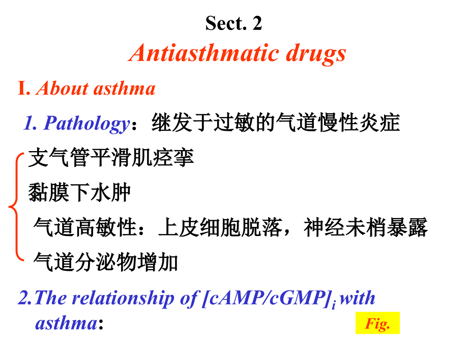 呼吸系统的常用药物介绍ppt课件_第2页