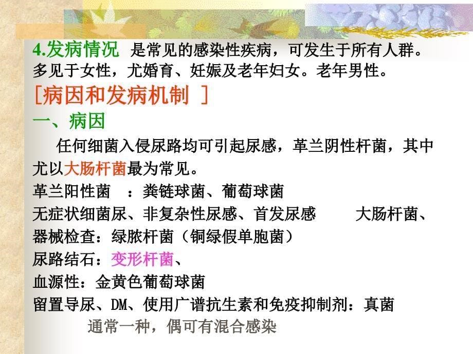 医学保健尿路感染课件_第5页