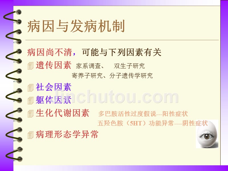 心理咨询师 精神分裂症课件_第5页