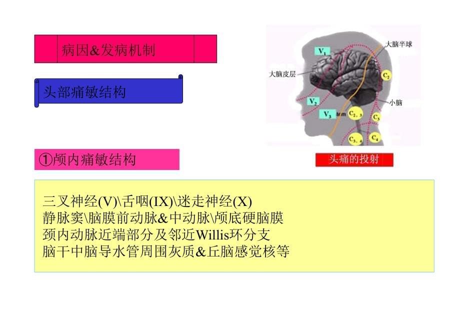 偏头痛的诊断治疗资料课件_第5页