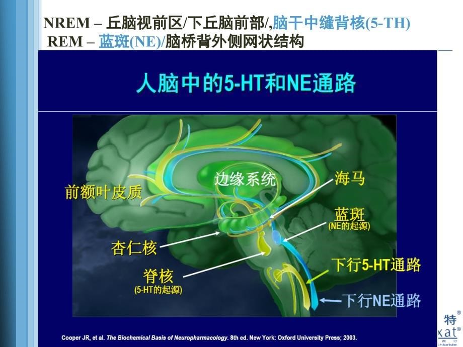 失眠与焦虑抑郁武汉 顾平课件_第5页