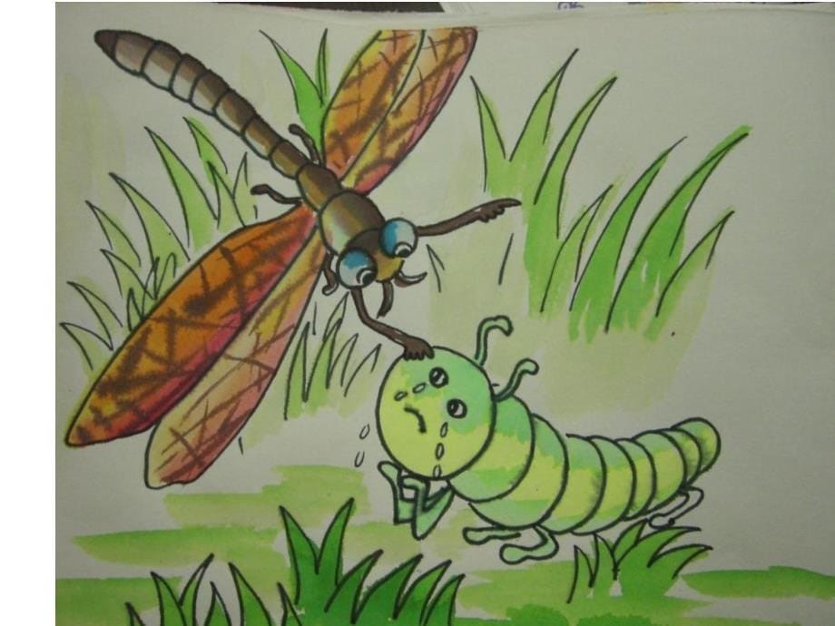 《虫虫虫（一）课件》小学美术苏少版二年级下册_6_第5页