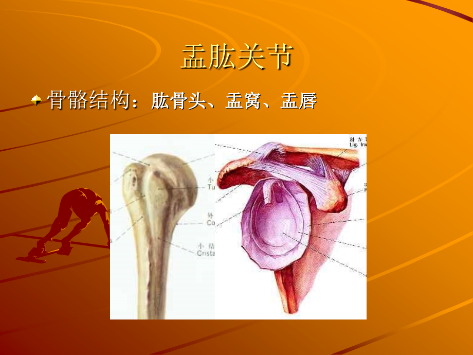 低血糖症解读2011版课件_1_第4页