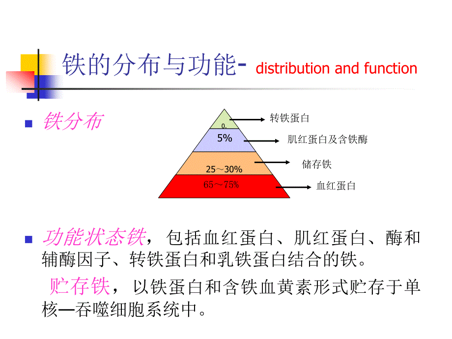 营养性缺铁性贫血课件 (2)_第3页