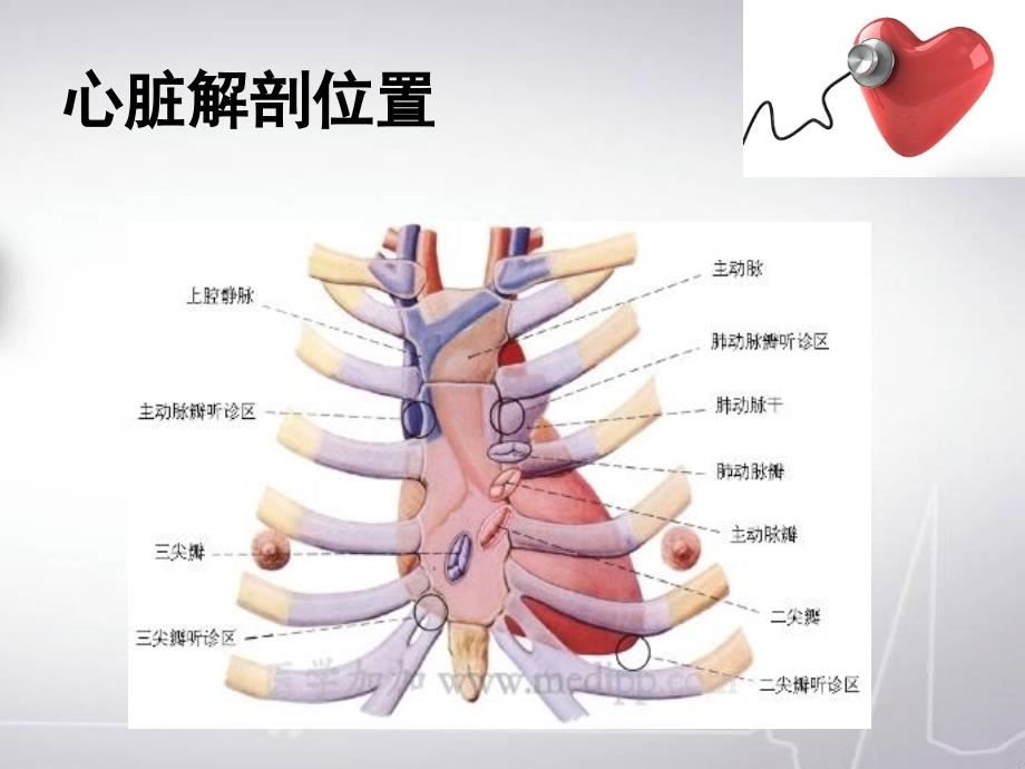 心电图讲解课件_第2页