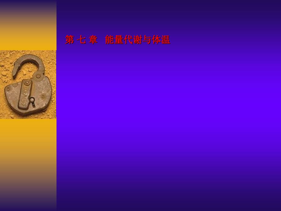 生理学第七章能量代谢与体温课件_第1页