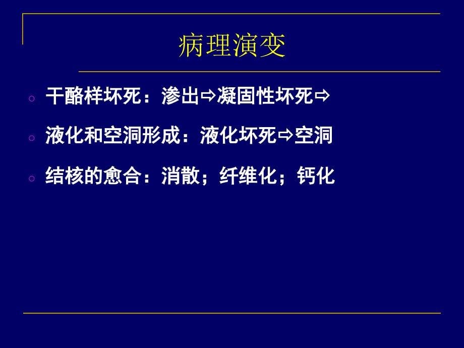 肺结核的影像学表现课件_第5页