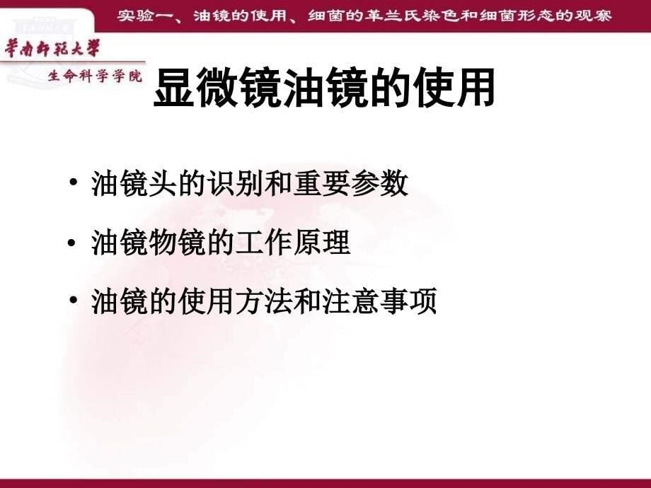 生物课件实验一油镜的使用细菌的革兰氏染色和细菌形态的观察_第5页