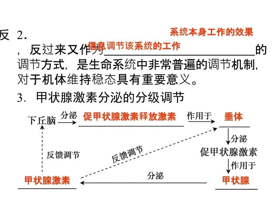 2013导学教程人教版生物一轮课件第八单元第29讲通过激素的调节神经调节与激素调节的关系_第5页