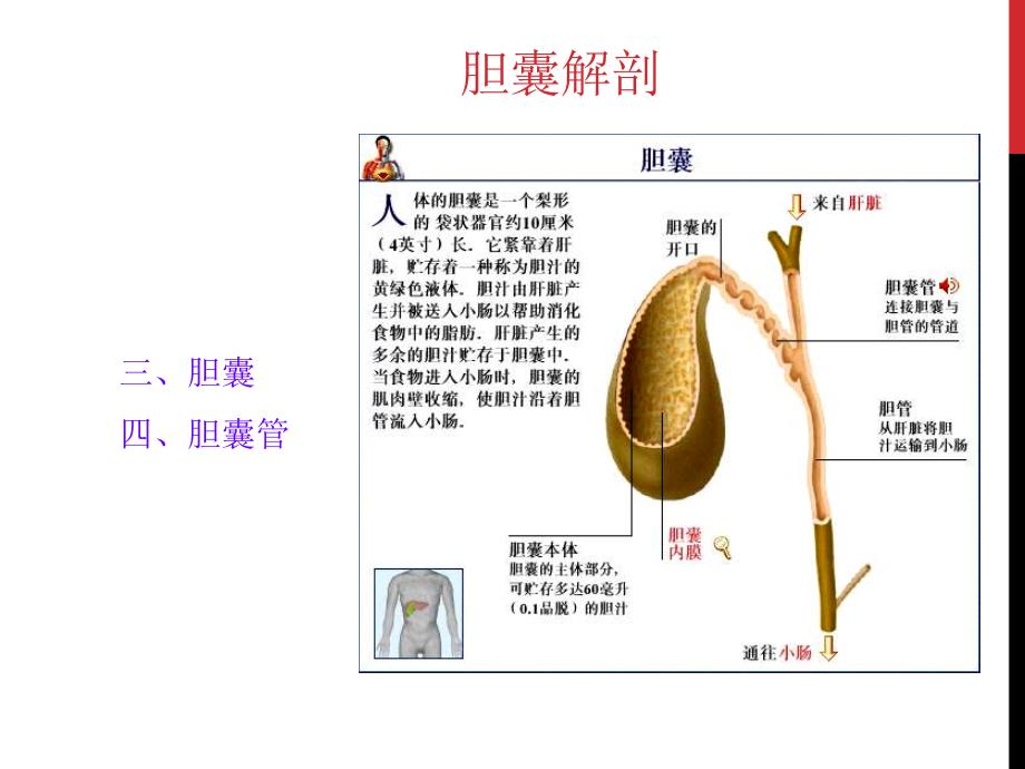 胆囊结石胆囊炎课件_第3页