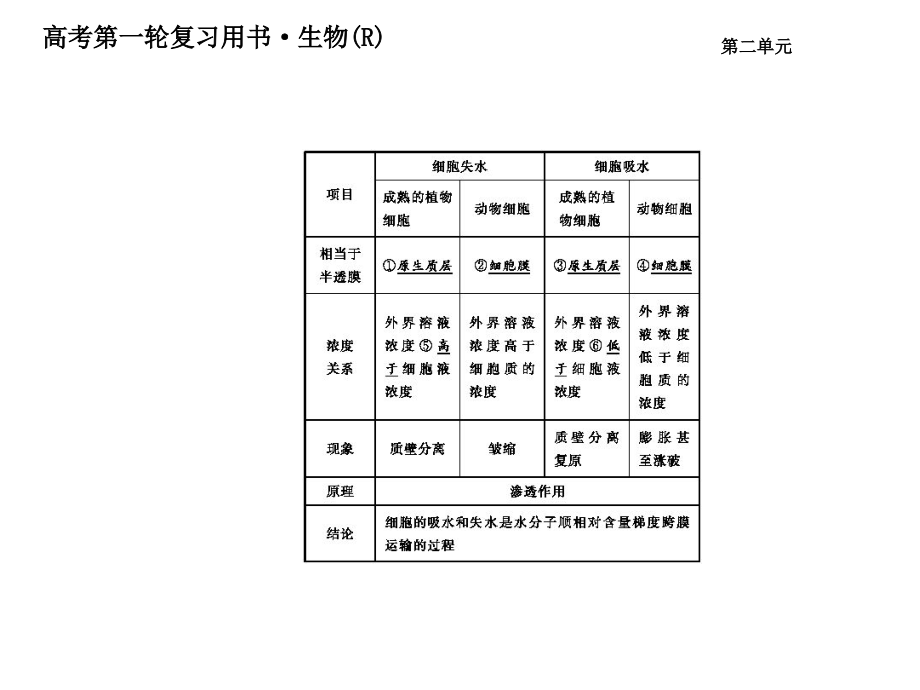 2015届高考生物一轮复习课件 第二单元 第四课时 物质跨膜运输的实例与方式（人教版必修一）_第4页