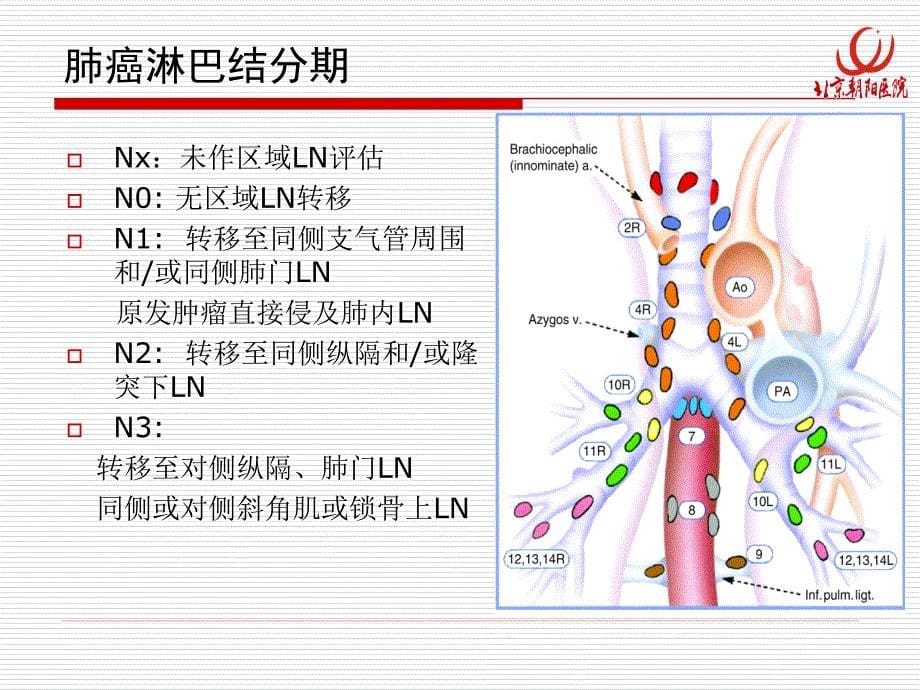 肺癌纵隔分期评估课件_第5页