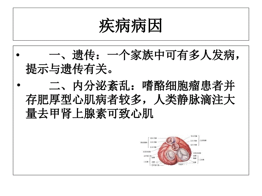 肥厚性心肌病的治疗及护理ppt课件_第3页